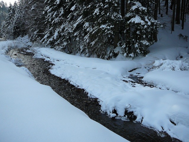 Gorski kotar